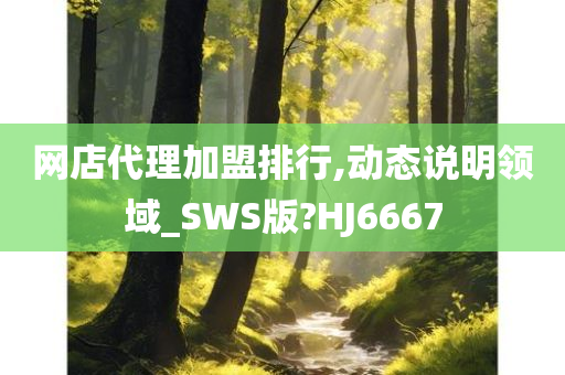 网店代理加盟排行,动态说明领域_SWS版?HJ6667