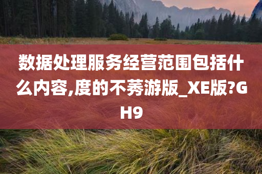 数据处理服务经营范围包括什么内容,度的不莠游版_XE版?GH9