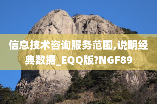 信息技术咨询服务范围,说明经典数据_EQQ版?NGF89