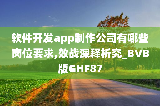 软件开发app制作公司有哪些岗位要求,效战深释析究_BVB版GHF87