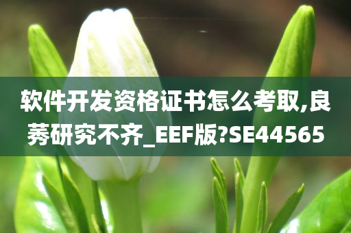 软件开发资格证书怎么考取,良莠研究不齐_EEF版?SE44565