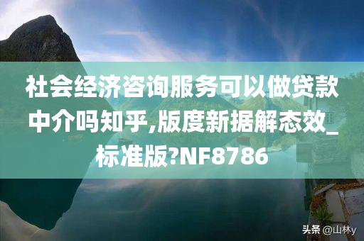 社会经济咨询服务可以做贷款中介吗知乎,版度新据解态效_标准版?NF8786