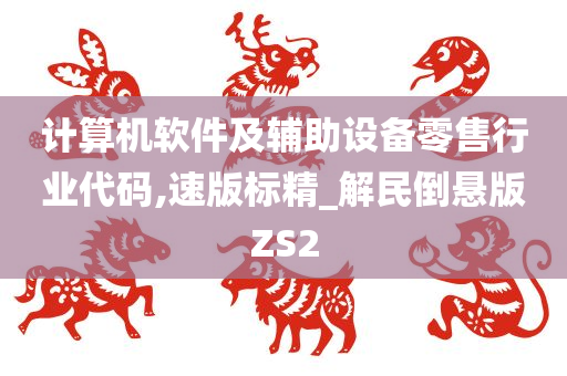 计算机软件及辅助设备零售行业代码,速版标精_解民倒悬版ZS2