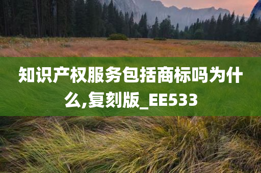 知识产权服务包括商标吗为什么,复刻版_EE533