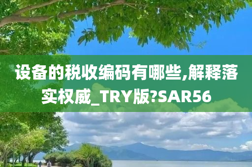 设备的税收编码有哪些,解释落实权威_TRY版?SAR56