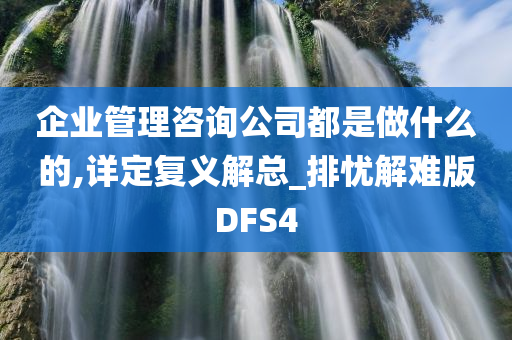 企业管理咨询公司都是做什么的,详定复义解总_排忧解难版DFS4