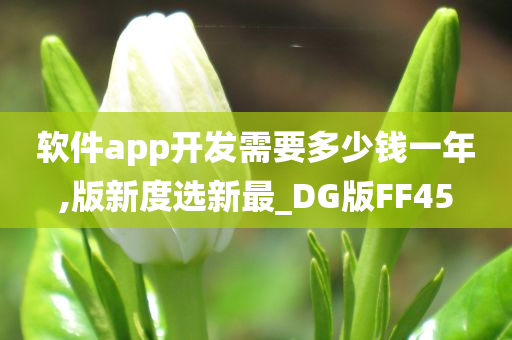 软件app开发需要多少钱一年,版新度选新最_DG版FF45