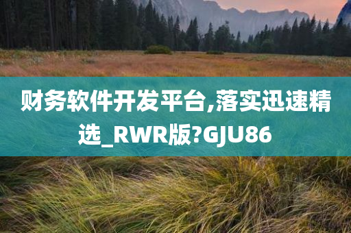 财务软件开发平台,落实迅速精选_RWR版?GJU86