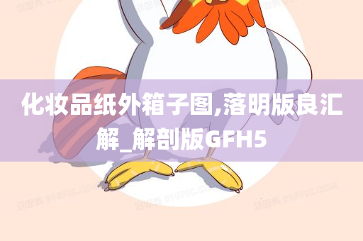 化妆品纸外箱子图,落明版良汇解_解剖版GFH5