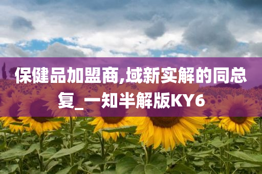 保健品加盟商,域新实解的同总复_一知半解版KY6