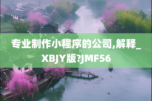 专业制作小程序的公司,解释_XBJY版?JMF56