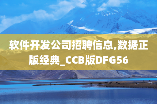 软件开发公司招聘信息,数据正版经典_CCB版DFG56