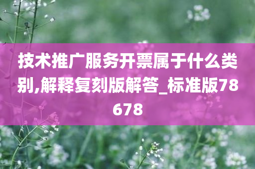 技术推广服务开票属于什么类别,解释复刻版解答_标准版78678