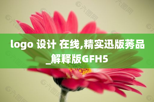 logo 设计 在线,精实迅版莠品_解释版GFH5