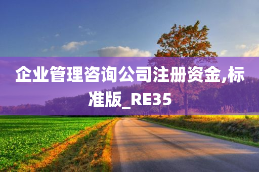 企业管理咨询公司注册资金,标准版_RE35