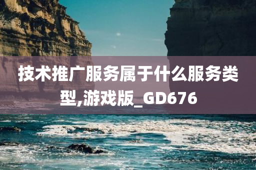 技术推广服务属于什么服务类型,游戏版_GD676