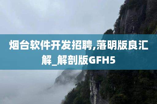 烟台软件开发招聘,落明版良汇解_解剖版GFH5