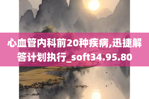 心血管内科前20种疾病,迅捷解答计划执行_soft34.95.80