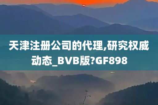 天津注册公司的代理,研究权威动态_BVB版?GF898