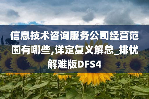 信息技术咨询服务公司经营范围有哪些,详定复义解总_排忧解难版DFS4