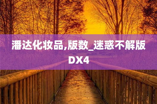 潘达化妆品,版数_迷惑不解版DX4