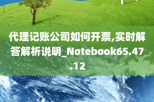 代理记账公司如何开票,实时解答解析说明_Notebook65.47.12