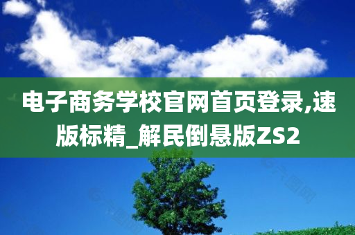 电子商务学校官网首页登录,速版标精_解民倒悬版ZS2