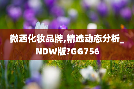 微洒化妆品牌,精选动态分析_NDW版?GG756