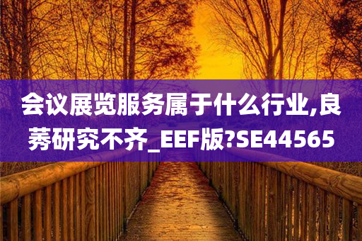 会议展览服务属于什么行业,良莠研究不齐_EEF版?SE44565