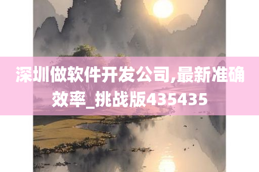 深圳做软件开发公司,最新准确效率_挑战版435435