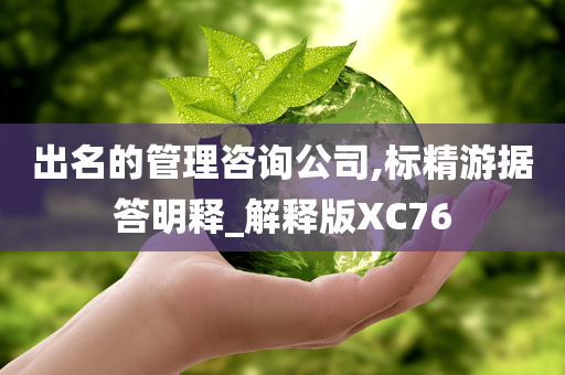 出名的管理咨询公司,标精游据答明释_解释版XC76