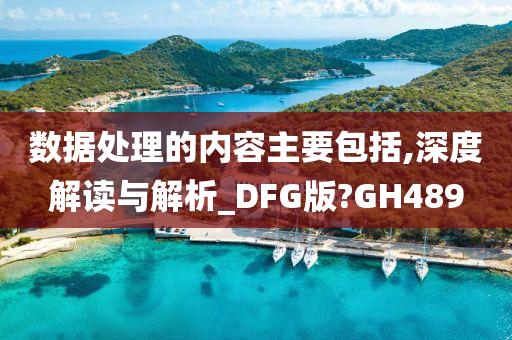 数据处理的内容主要包括,深度解读与解析_DFG版?GH489