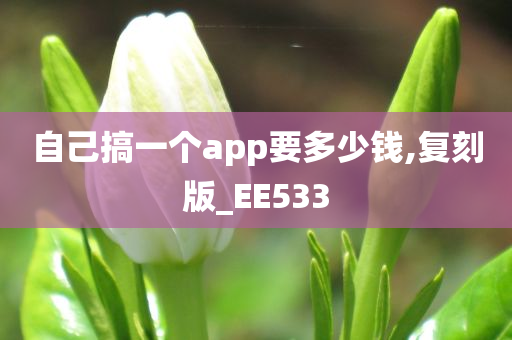 自己搞一个app要多少钱,复刻版_EE533