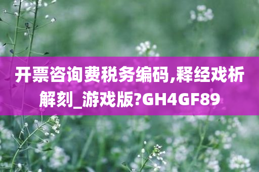 开票咨询费税务编码,释经戏析解刻_游戏版?GH4GF89