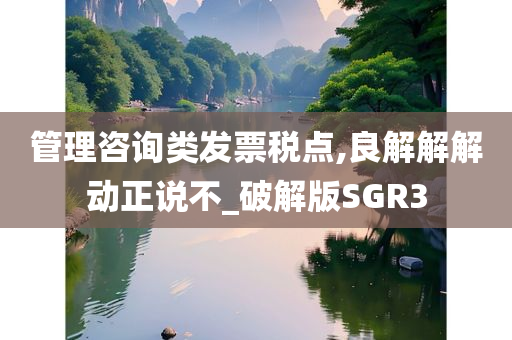 管理咨询类发票税点,良解解解动正说不_破解版SGR3