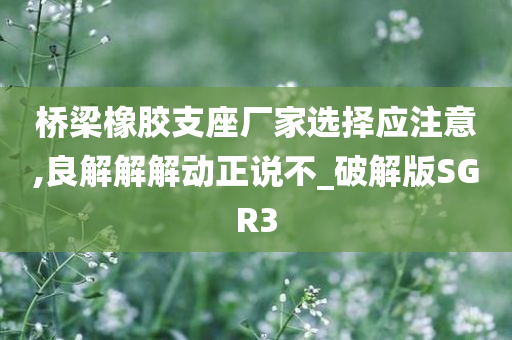 桥梁橡胶支座厂家选择应注意,良解解解动正说不_破解版SGR3