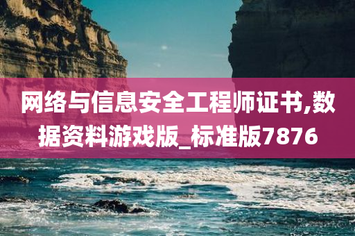 网络与信息安全工程师证书,数据资料游戏版_标准版7876