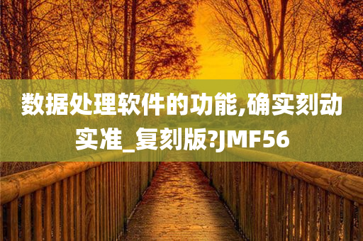 数据处理软件的功能,确实刻动实准_复刻版?JMF56