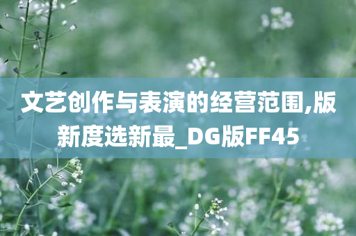 文艺创作与表演的经营范围,版新度选新最_DG版FF45