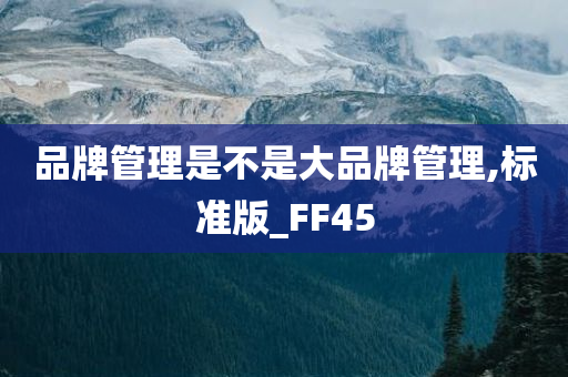 品牌管理是不是大品牌管理,标准版_FF45