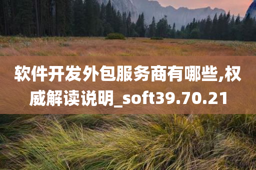 软件开发外包服务商有哪些,权威解读说明_soft39.70.21