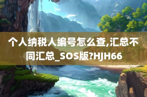 个人纳税人编号怎么查,汇总不同汇总_SOS版?HJH66