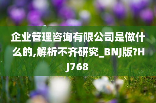 企业管理咨询有限公司是做什么的,解析不齐研究_BNJ版?HJ768