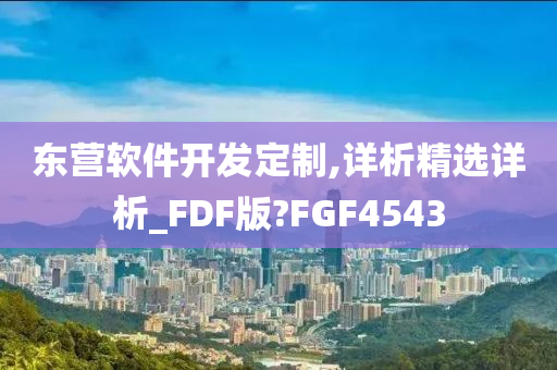 东营软件开发定制,详析精选详析_FDF版?FGF4543