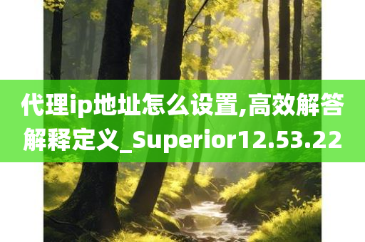 代理ip地址怎么设置,高效解答解释定义_Superior12.53.22