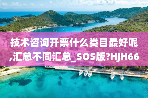 技术咨询开票什么类目最好呢,汇总不同汇总_SOS版?HJH66