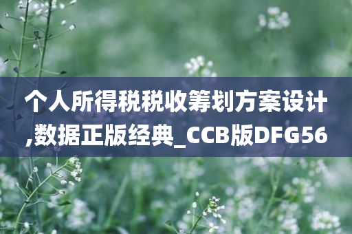 个人所得税税收筹划方案设计,数据正版经典_CCB版DFG56