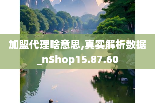 加盟代理啥意思,真实解析数据_nShop15.87.60