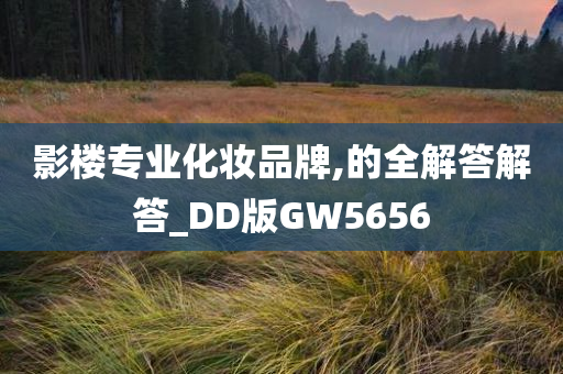 影楼专业化妆品牌,的全解答解答_DD版GW5656