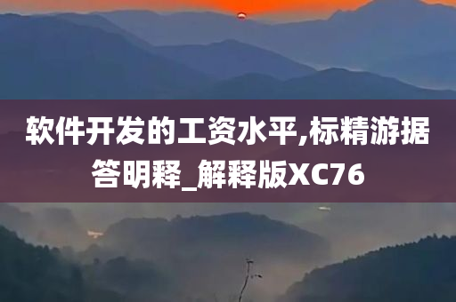 软件开发的工资水平,标精游据答明释_解释版XC76